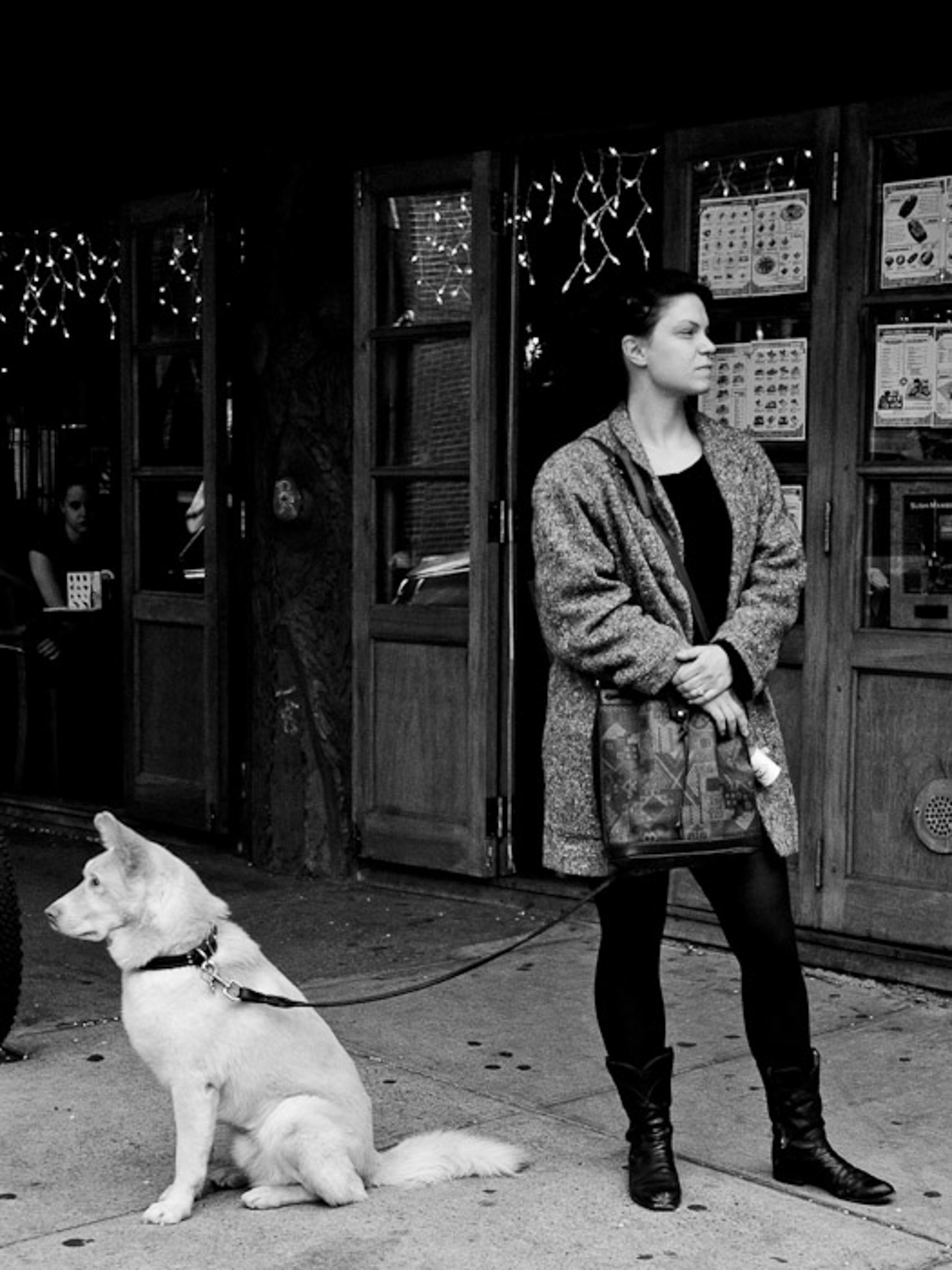 299214 3999134 new york city interactions woman and dog